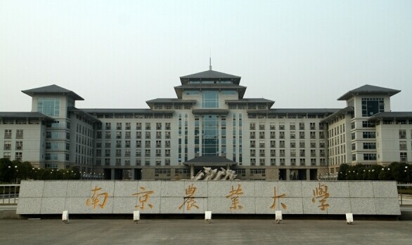南農(nóng)